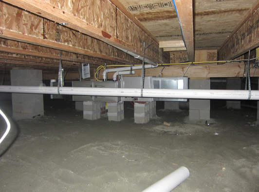 san francisco water damage mold removal